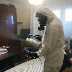 Дезинфекция от клопов в Первоуральске